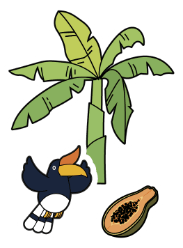 Asean-Japan asset bird