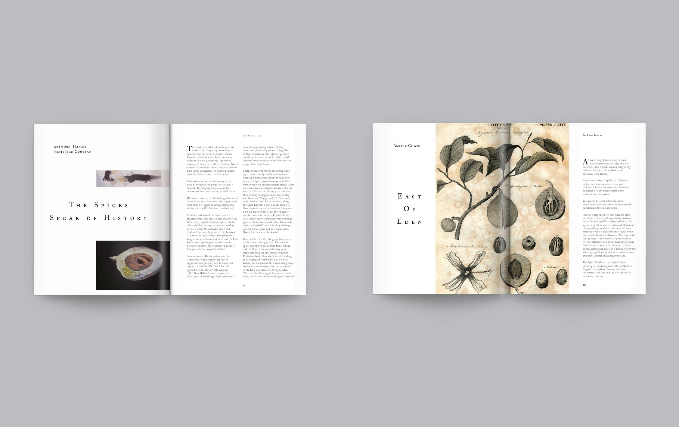 The-Banda-Book-cover